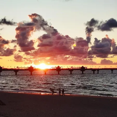 Otimo * 米兹多洛杰