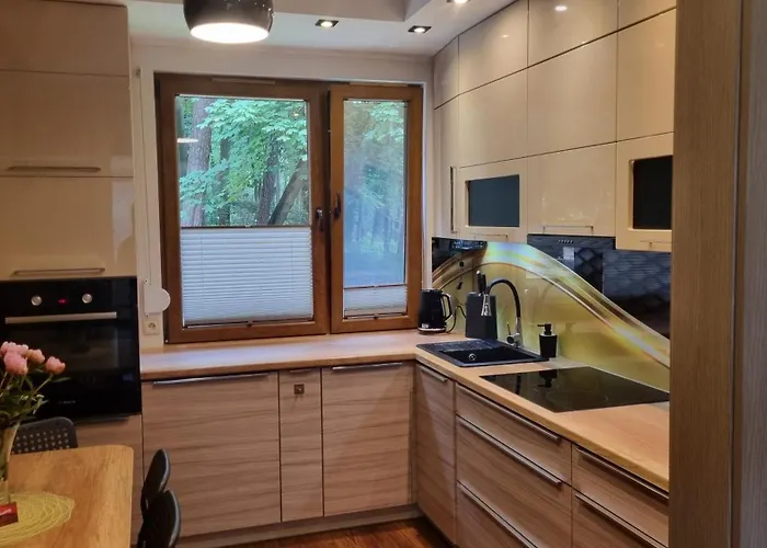 Otimo 公寓 米兹多洛杰