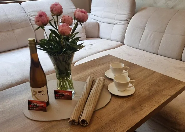 Otimo 아파트 미엥지즈드로예