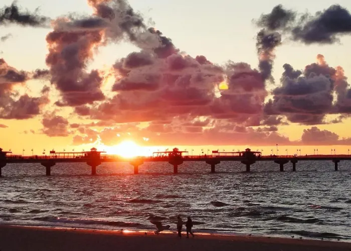 Otimo * 米兹多洛杰